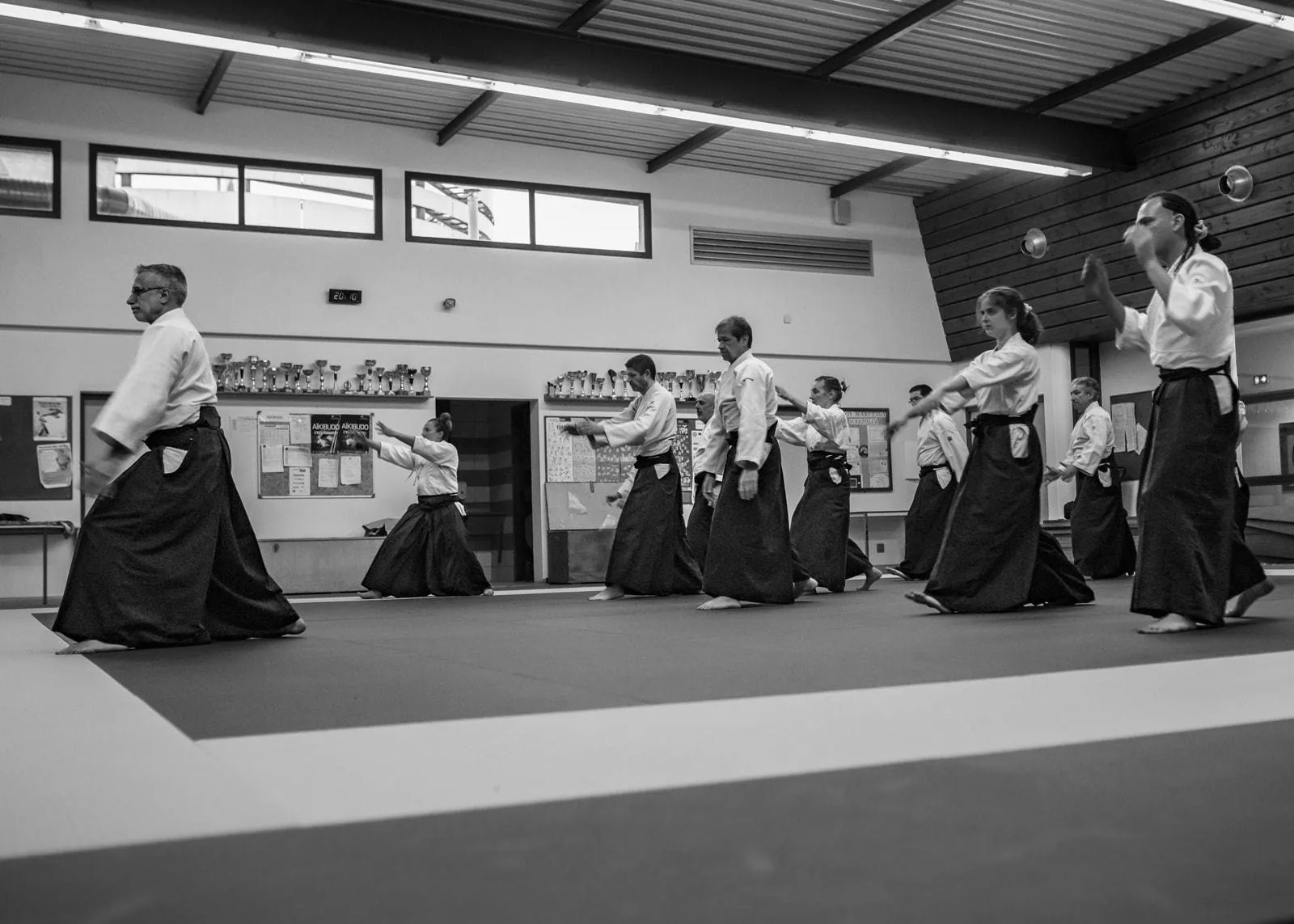 Cours d'aïkido au Dojo Dardilly, ados et adultes pratiquant ensemble sur le tatami