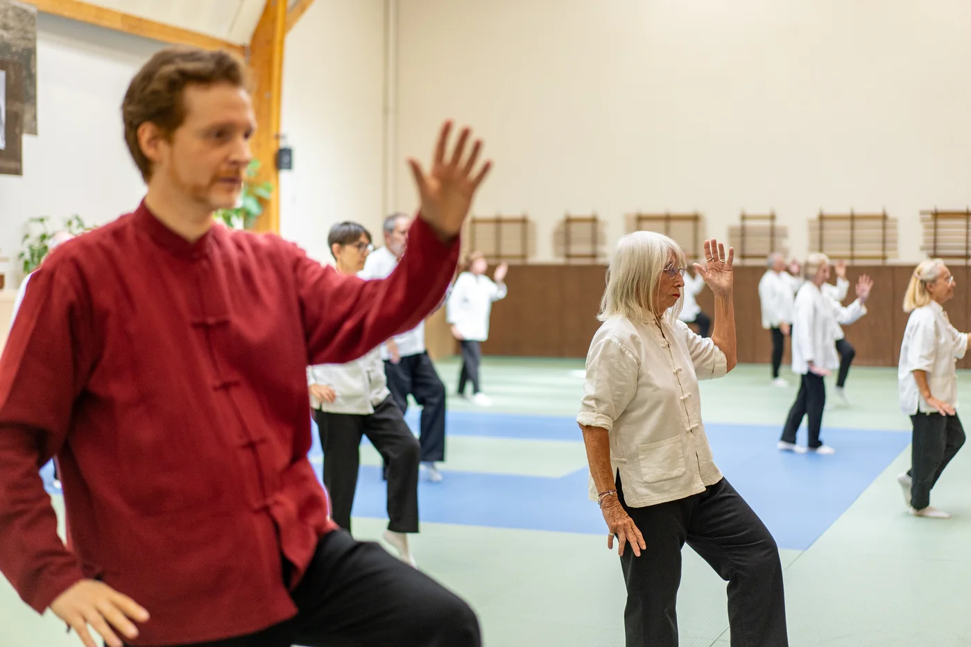 Cours de Tai Chi Chuan avec Frédéric Carlini — adultes seniors en pleine pratique