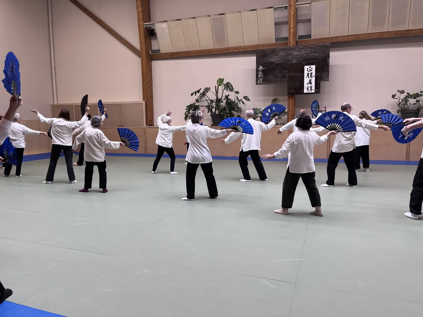 Cours de Tai Chi Chuan au Dojo Dardilly — pratique collective avec éventails traditionnels